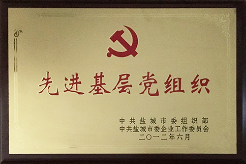 2012年6月&ldquo;先進基層黨組織&rdquo;.JPG