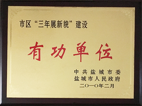 2010年2月市區(qū)&ldquo;三年展新貌&rdquo;建設有功單位.JPG